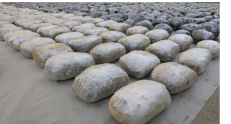 WhatsApp Image 2026-05-16 at 11.07.00 AM (1)